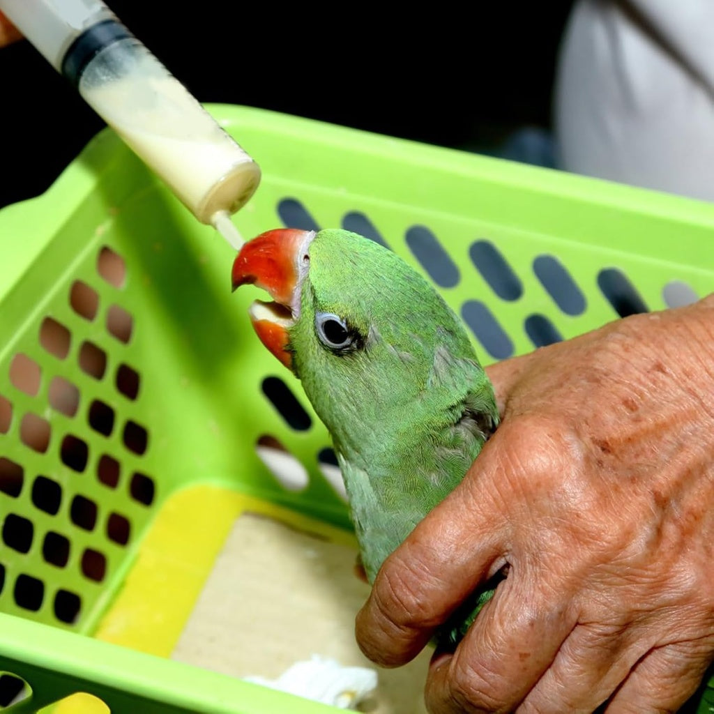 Duvo+ Spray For Manual Feeding 10ml