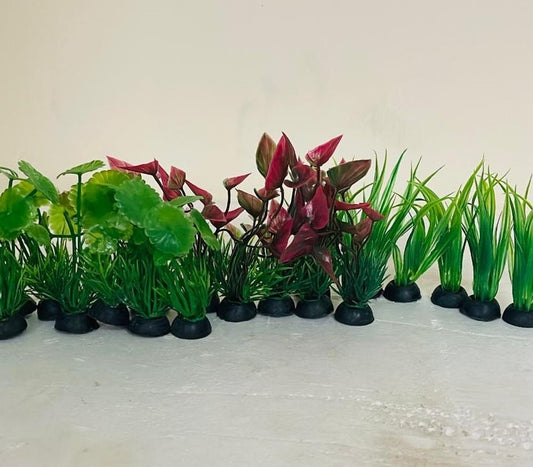 Aquarium Artificial Plant (5 Pieces)