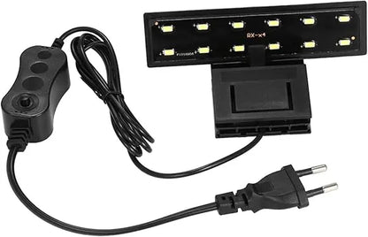 Roxin LED Top Light -White[Power - 6W]