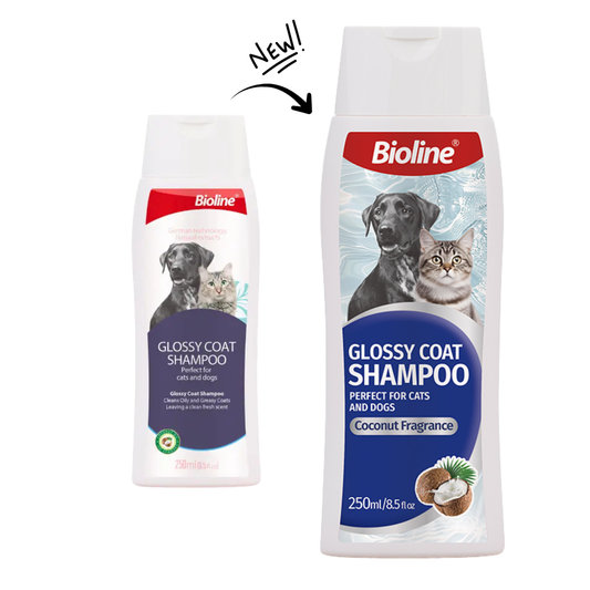 Biolineglossy Coat Shampoo-Dogs And Cats [Weight - 250ml]