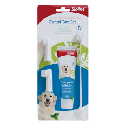 Bioline Dental Care Set- 100g, Flavor - Mint (New Package)