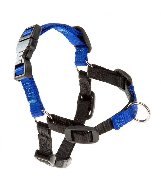 Ferplast Coach P S-M Harness[Color - Blue, Size - L/XL]