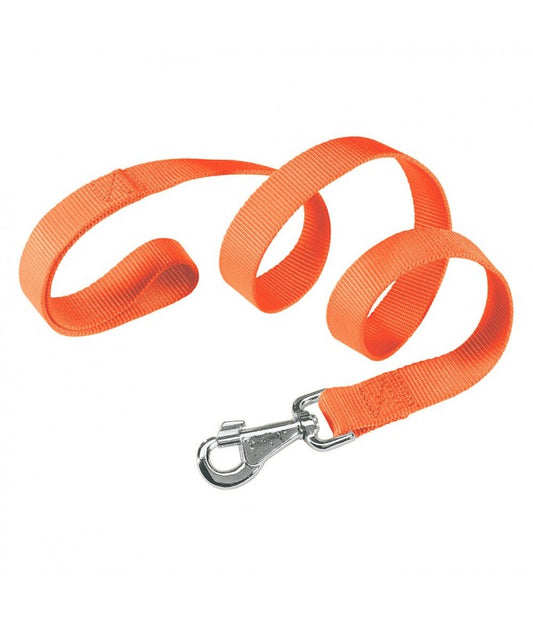Ferplast Club G Nylon Dog Leash[Color - Orange, Dimension - 10mm x L 120cm]
