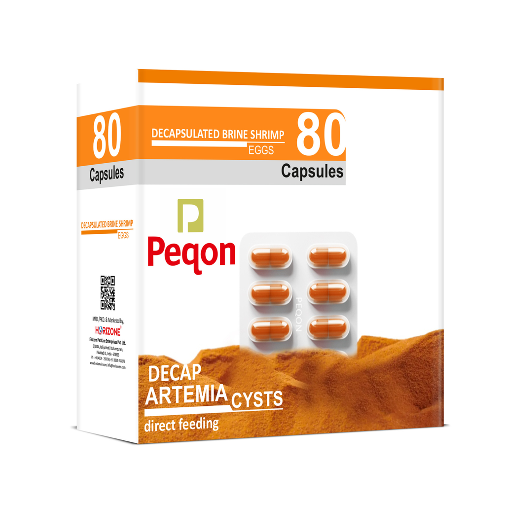 Horizone Peqon Decap Artemia Cyst – Ready-to-Feed Decapsulated Brine Shrimp Eggs (80 Capsules) – No Hatching Needed