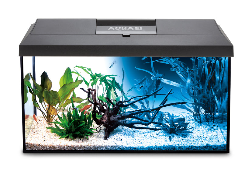 Aquael Aquarium Set Leddy 60 Black Day & Night