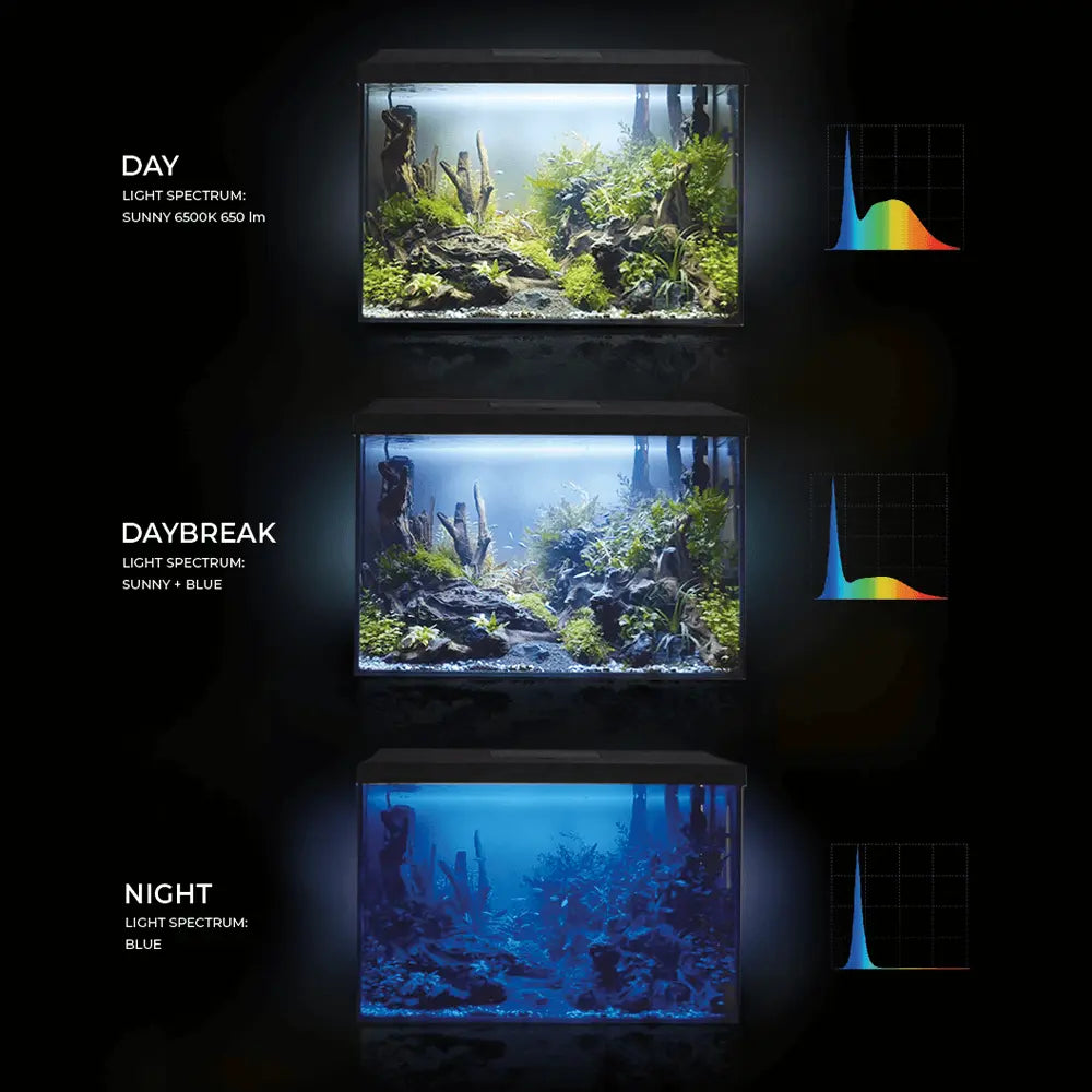 Aquael Leddy Aquarium Set XL Black Day & Night[Size - 40 cm]