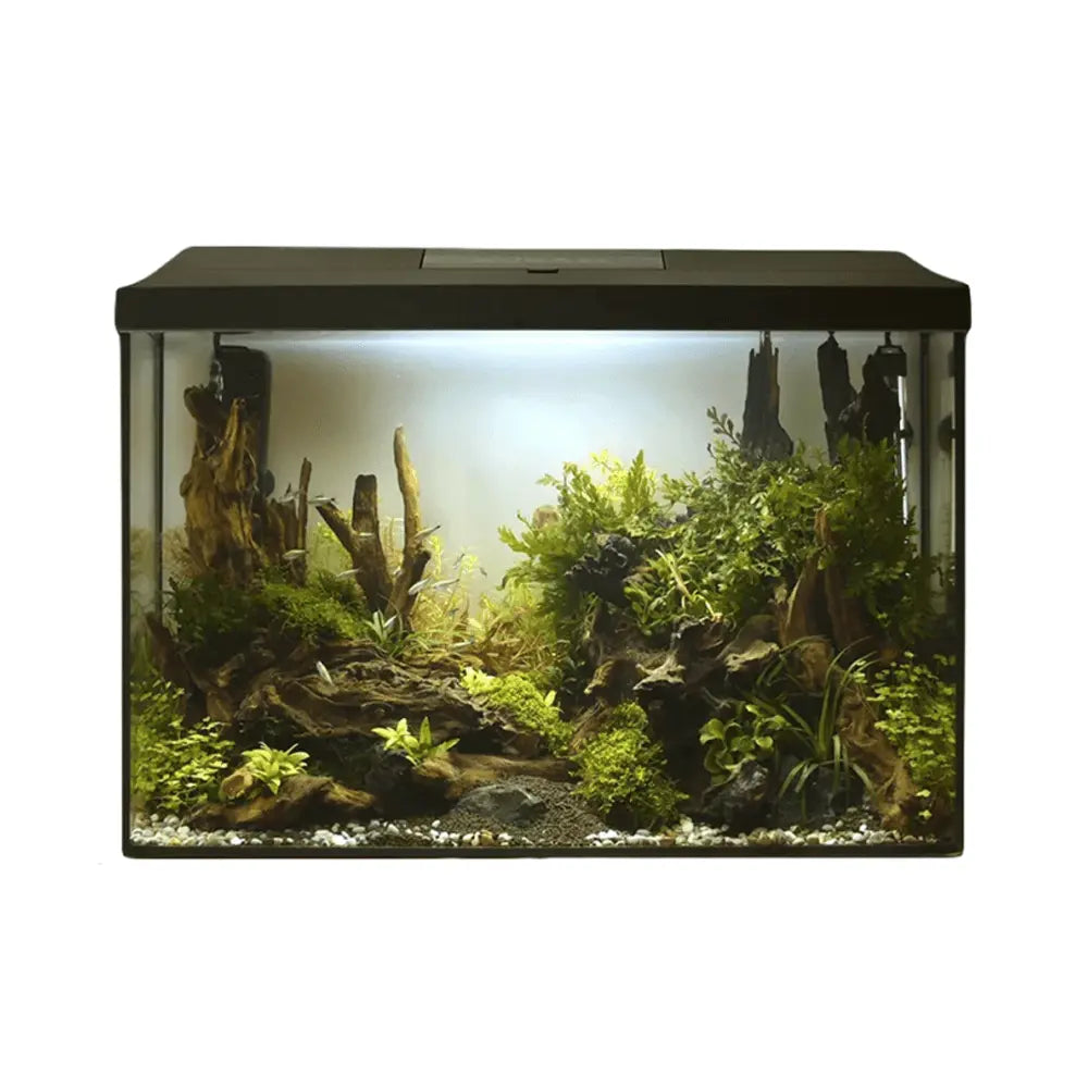 Aquael Leddy Aquarium Set XL Black Day & Night[Size - 40 cm]