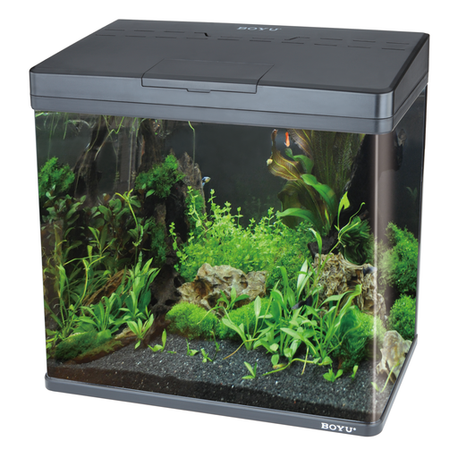 Boyu Aquarium MS-Series(Without Cabinet)[Color - Black,Dimension - 480x250x490mm]