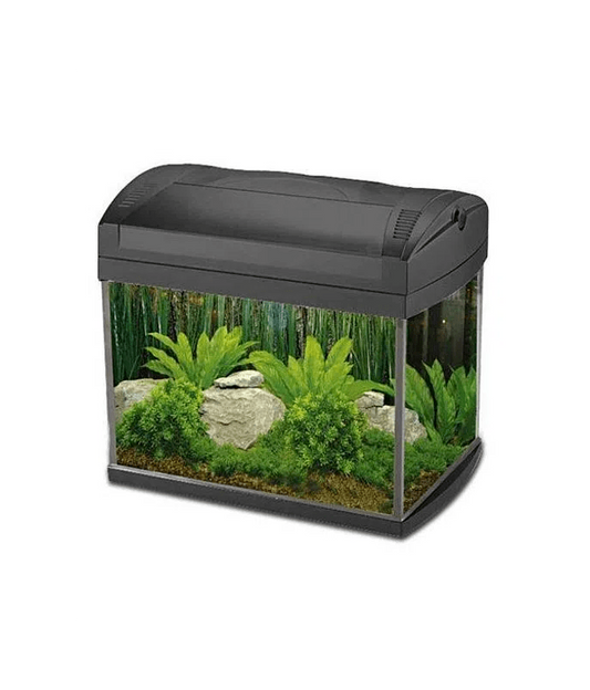 Boyu Aquarium ZJ-Series(Without Cabinet)[Dimension - 535x323x352mm]