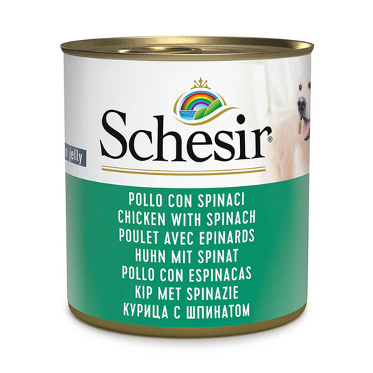 Schesir Dog Wet Food in Jelly Can-Chicken With Spinach 285g [MOQ:16pcs]