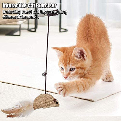 Catry Cat Toy