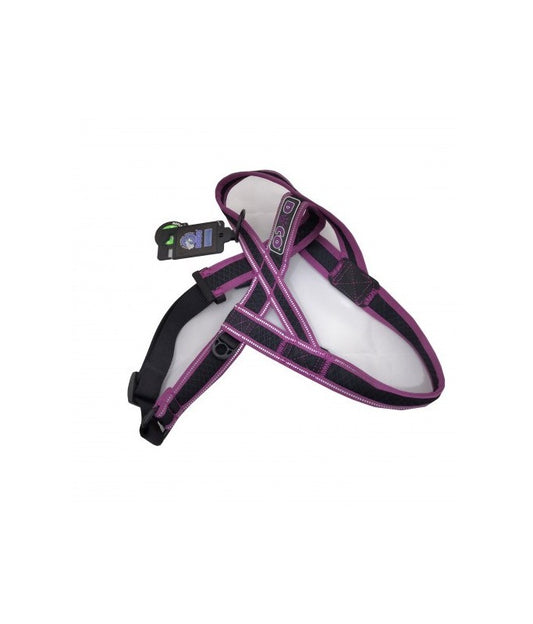 Doco Athletica City Walker Mesh Harness (DCA207)[Color - Purple, Size - L/XL]