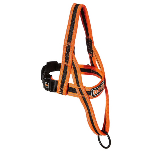 Doco Athletica City Walker Mesh Harness (DCA207) - Sizes - M, Color - Orange