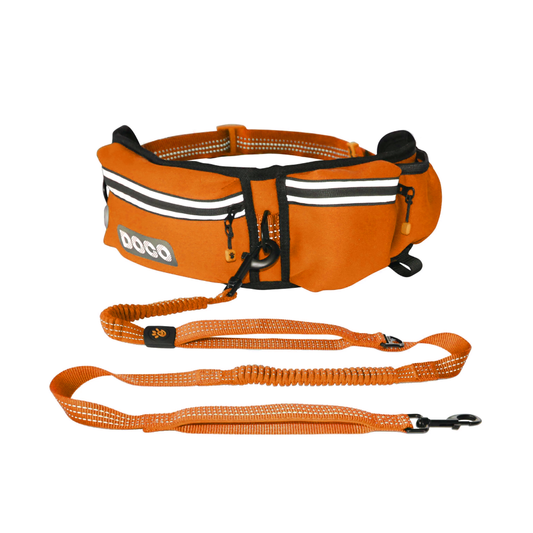 DOCO® Lite Reflective Jogging Belt With Reflective Bungee [Bag:2.5 x 76-107cm ; Leash: 2.5 x 130-150cm]-Safety Orange
