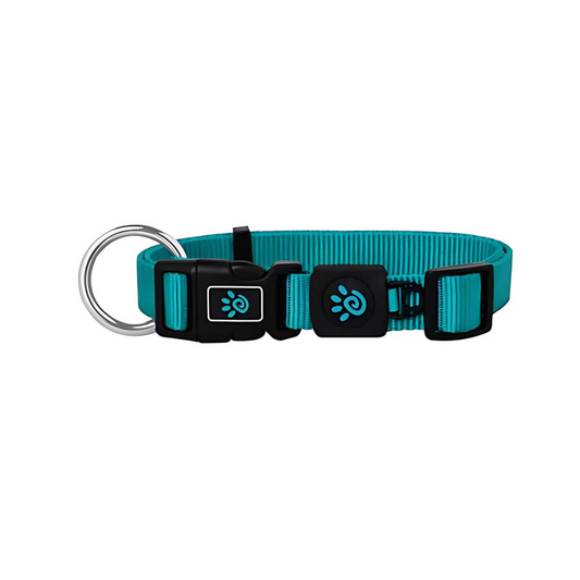 DOCO® Signature O- Ring Collar - 1.0 x 21-30cm[Color - Turquoise, Size - XS]