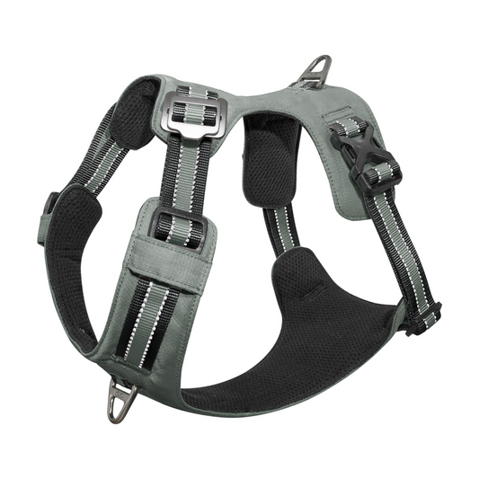 DOCO® VERTEX Reflective Ultralight Mesh Harness X.Large [Neck 58-69cm;Chest 72]-Iceland