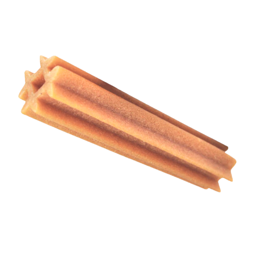 Dentalight Vital Fiber Wellbars 6" Treat For Dogs-Honey, Fennel Seed & Kumquat 250g-3pcs