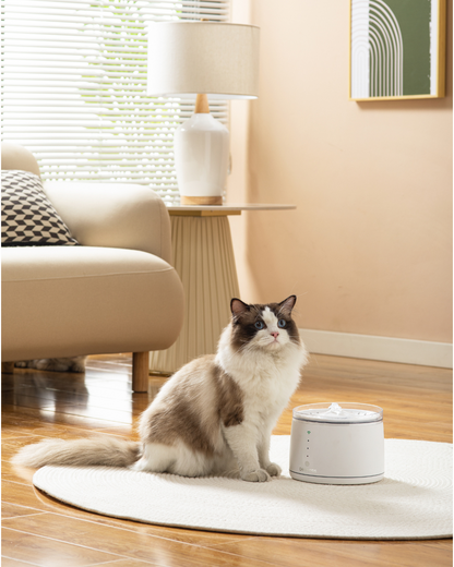 Dogness Smart Water Feeder For Pets (App Controlled)-White