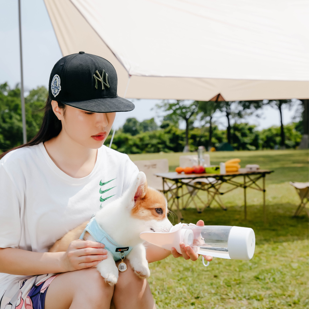 Dogness Water Bottle With Food Storage-Green