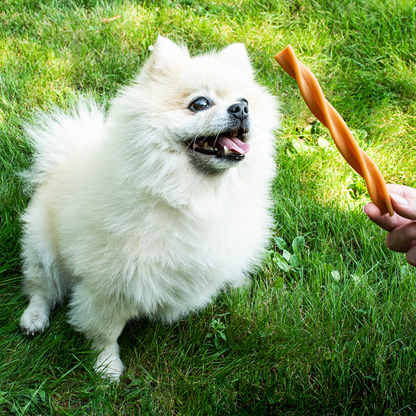 Duvo Garden Bites Fruity Dental Swirls Small - 13cm - 7.8g - Mixed Colors [MOQ:6Pcs]