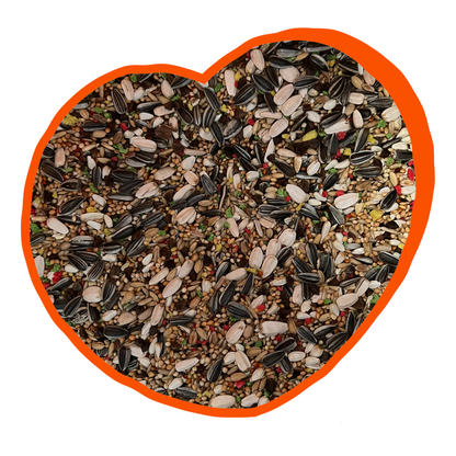 Duvo+ Parakeet Mix 15kg