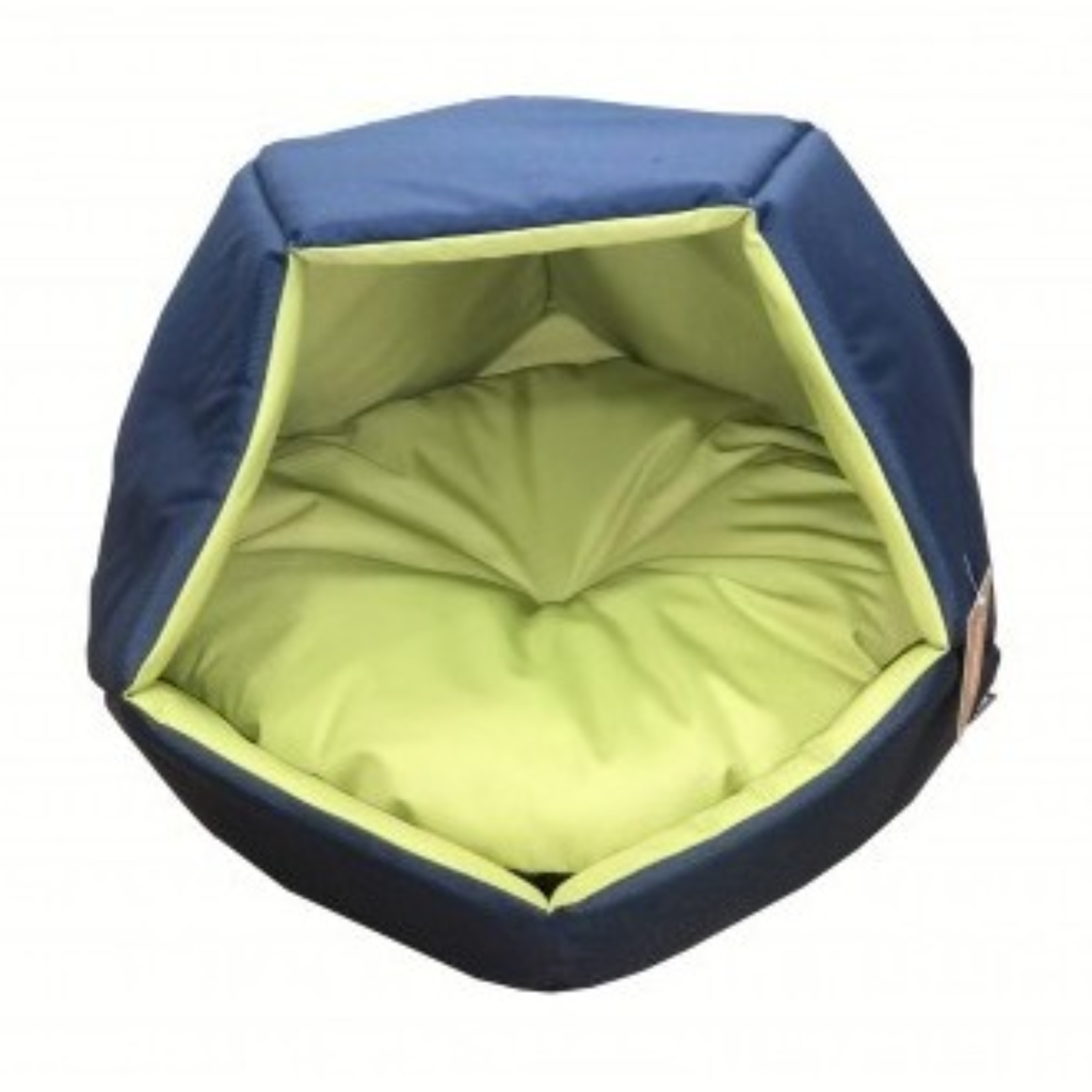 Empets Cubby House With Cushion Basic Duo (60x60x44cm)[Dimension - 60x60x44cm, Color - Green & Blue]