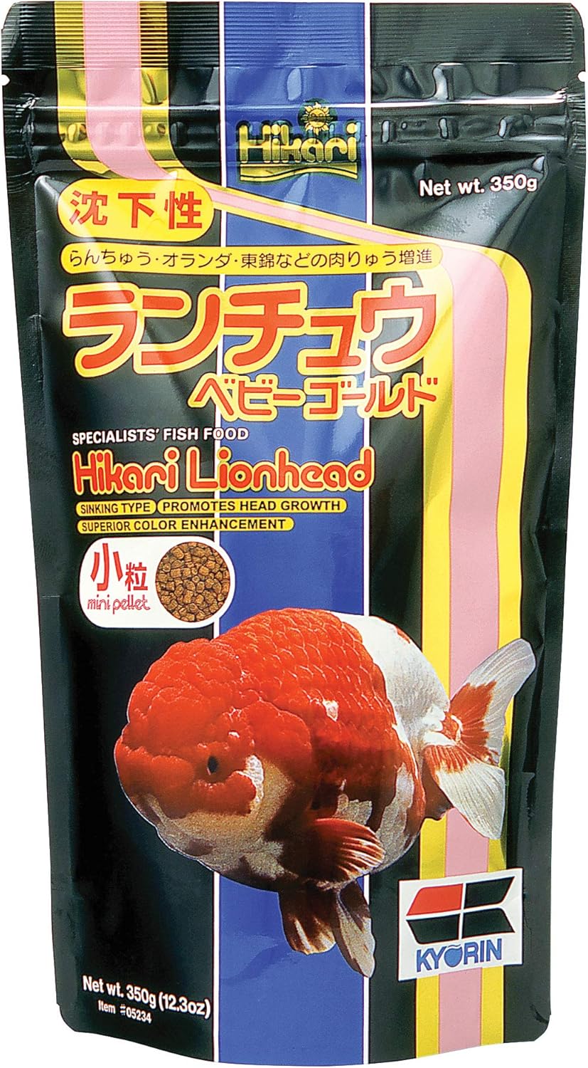 HIKARI GOLDFISH  LIONHEAD- 350g