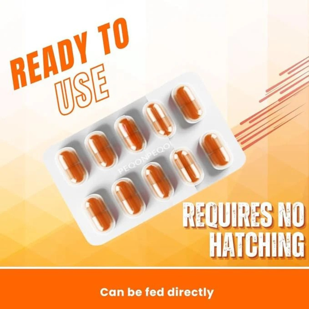 Horizone Peqon Decap Artemia Cyst – Ready-to-Feed Decapsulated Brine Shrimp Eggs (80 Capsules) – No Hatching Needed