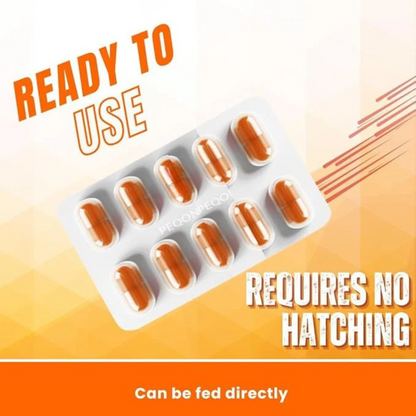 Horizone Peqon Decap Artemia Cyst – Ready-to-Feed Decapsulated Brine Shrimp Eggs (80 Capsules) – No Hatching Needed