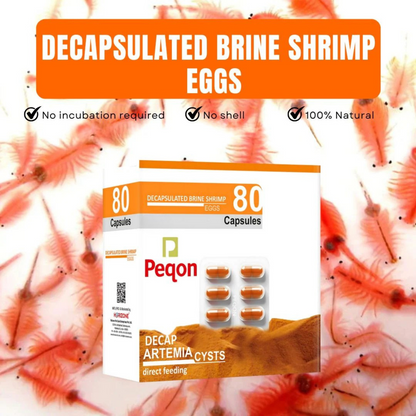 Horizone Peqon Decap Artemia Cyst – Ready-to-Feed Decapsulated Brine Shrimp Eggs (80 Capsules) – No Hatching Needed