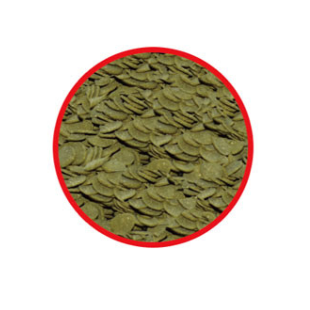 KW Zone Aquafin Algae Wafers[Volume - 100ml]