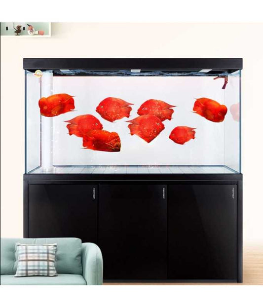 Karis Aquarium LYP-Series[Color - Black, Dimension - 1000 x 400 x 1600mm]