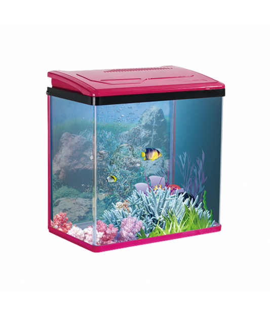 Karis PY-Series Aquarium 235 x 160 x 280mm[Color - Maroon]