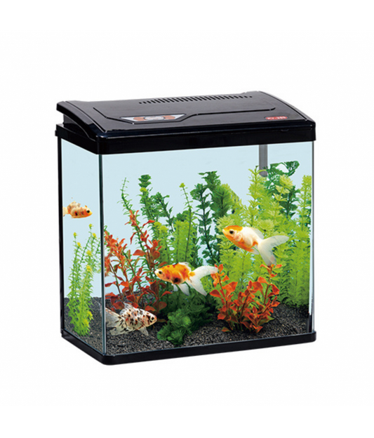 Karis PY-Series Aquarium 285 x 180 x 300mm[Color - Black]