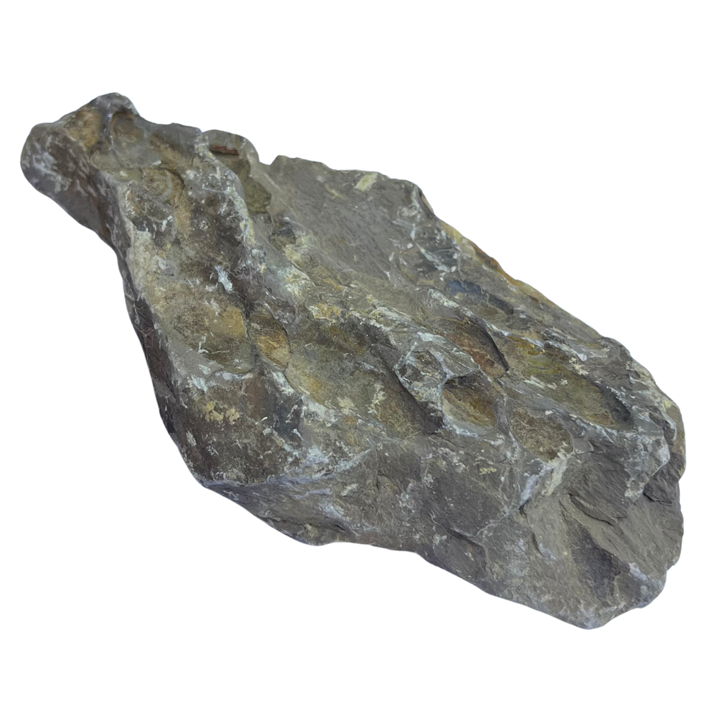 Karis Pine Rock Small (Per Kg)