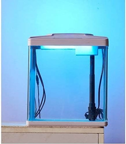 Karis Aquarium [Dimension - 285 x 180 x 350mm]
