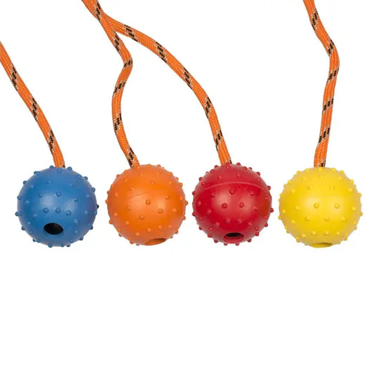 Duvo Rubber Dental Ball With Rope Mix Mixed Colors 33cm[Length - 33cm]