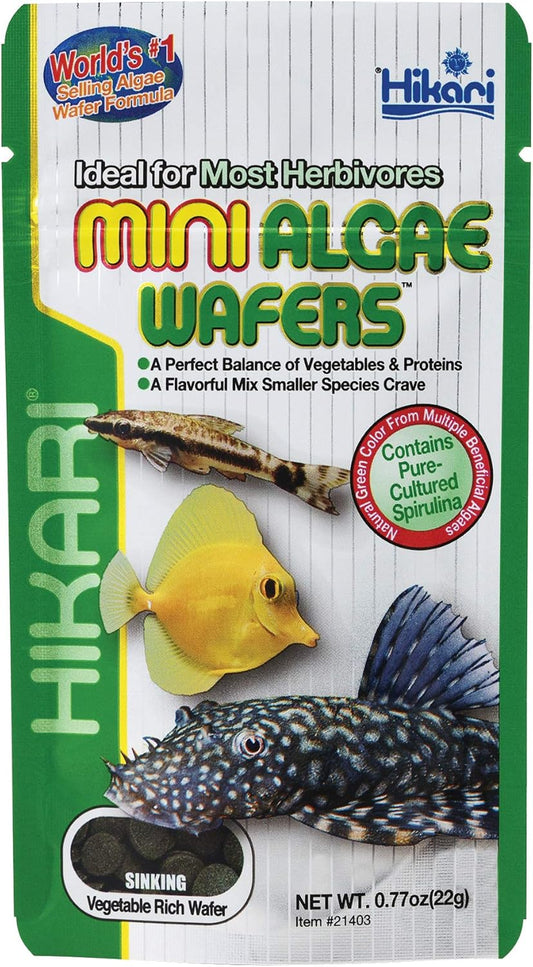 MINI ALGAE  WAFERS- 22g