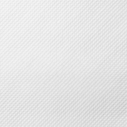 NurturePro AG+ Silver Pet Wet Wipes -Coconut (10 Sheets/ Pack) - Min Order : 6packs/Box