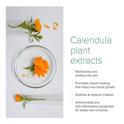 NurturePro AG+ Silver Pet Wet Wipes -Green Tea (100 Sheets/ Pack)