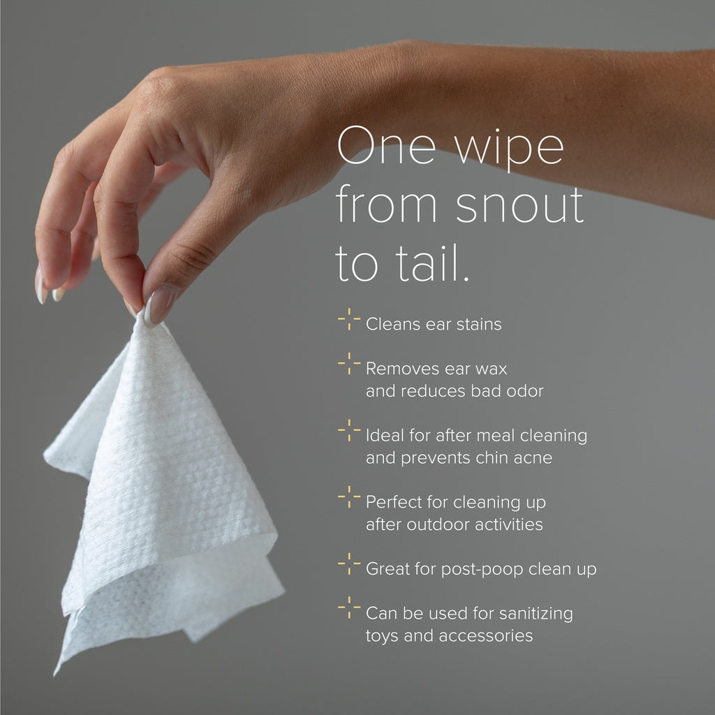 NurturePro AG+ Silver Pet Wet Wipes -Unscented (10 Sheets/ Pack)