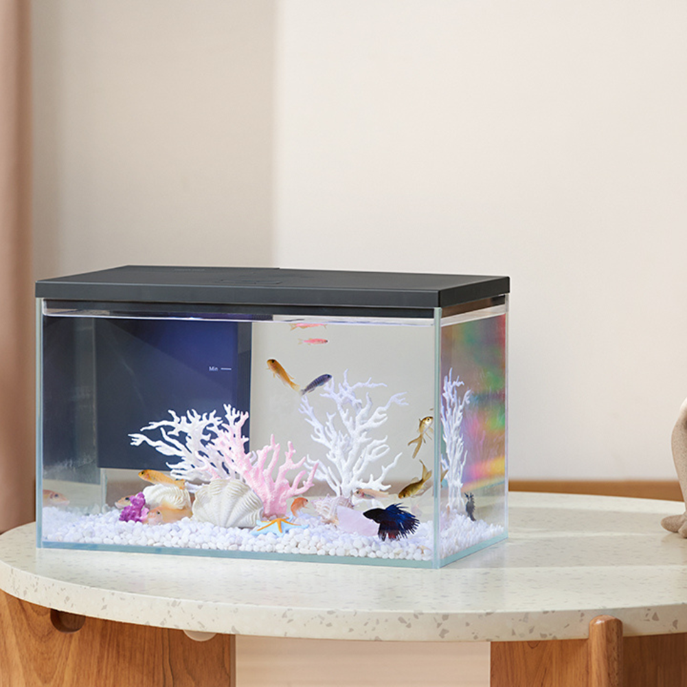Pawgether GR-2s WIFI Desktop Aquarium 450x250x325mm (30L)