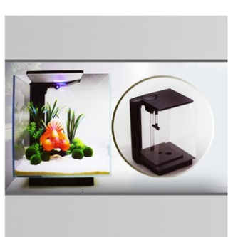 Yumax Coral Tank (Mt) Aquarium Natural Box[Power - 6W, Dimension - 260 x 260 x 320mm, Capacity - 22L]