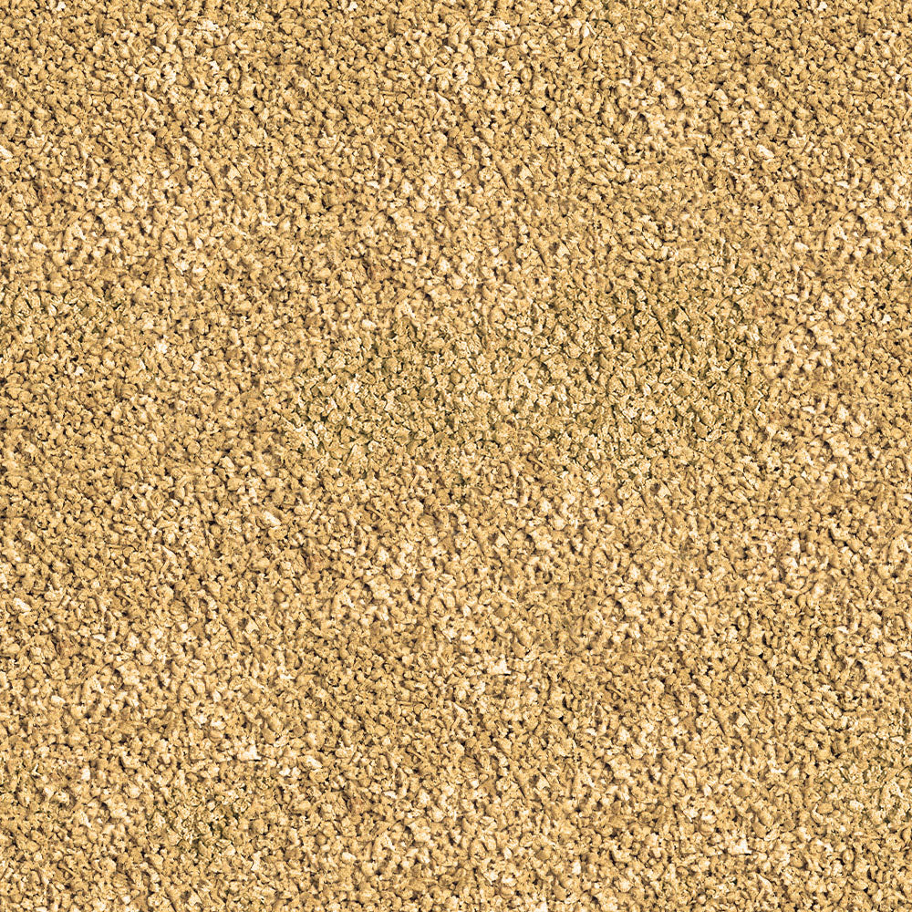 Sera Betta Granules 50 ml