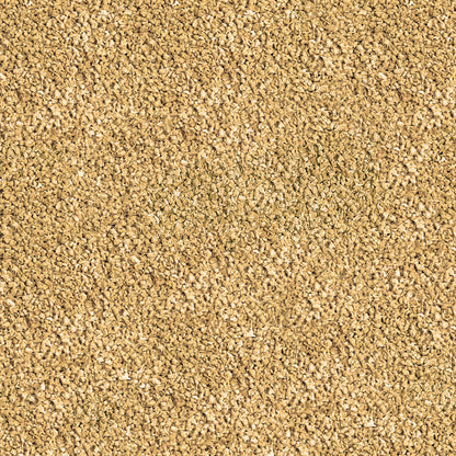 Sera Betta Granules 50 ml