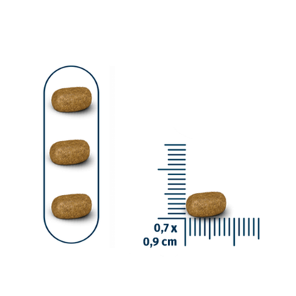 Seven Cats Cat Food For Sterilized - Salmon [Coat Beauty] 1kg