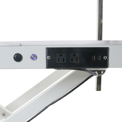 Shernbao FT-873 Shernbao NEW Electric Pet Grooming Table with LED Ligh