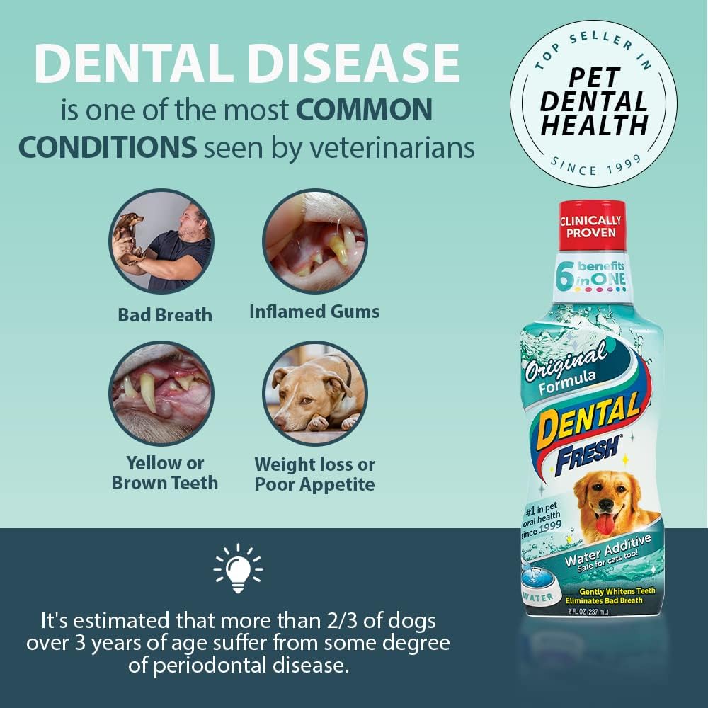 Synergy Labs Dental Fresh Original Formula- Dog & Cat 1/2 gallon - 1.89 L