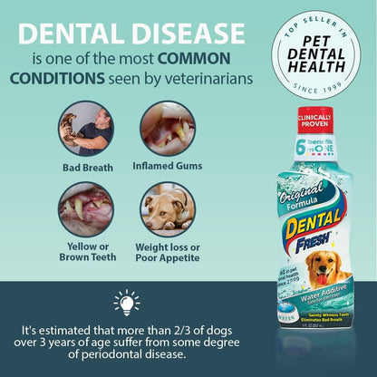 Synergy Labs Dental Fresh Original Formula- Dog & Cat 1/2 gallon - 1.89 L