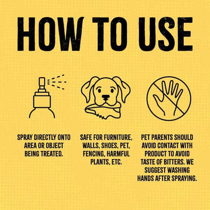 Synergy Labs Fooey! Ultra-Bitter Spray 473ml-DIS